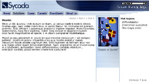 Sycada website 2003